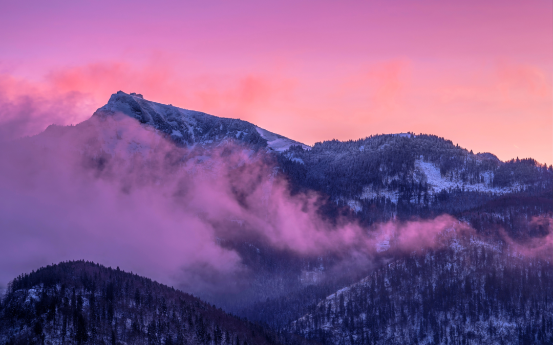 How Publishing a Health and Wellness Book Can Establish You as an Authority in Your Field