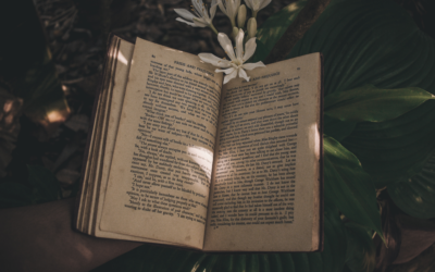 Introducing Eudaimonia Publishing